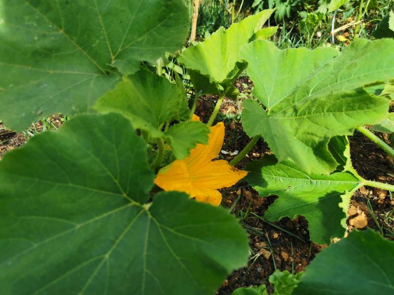 Nouvelle carte pour le mois d'Octobre !